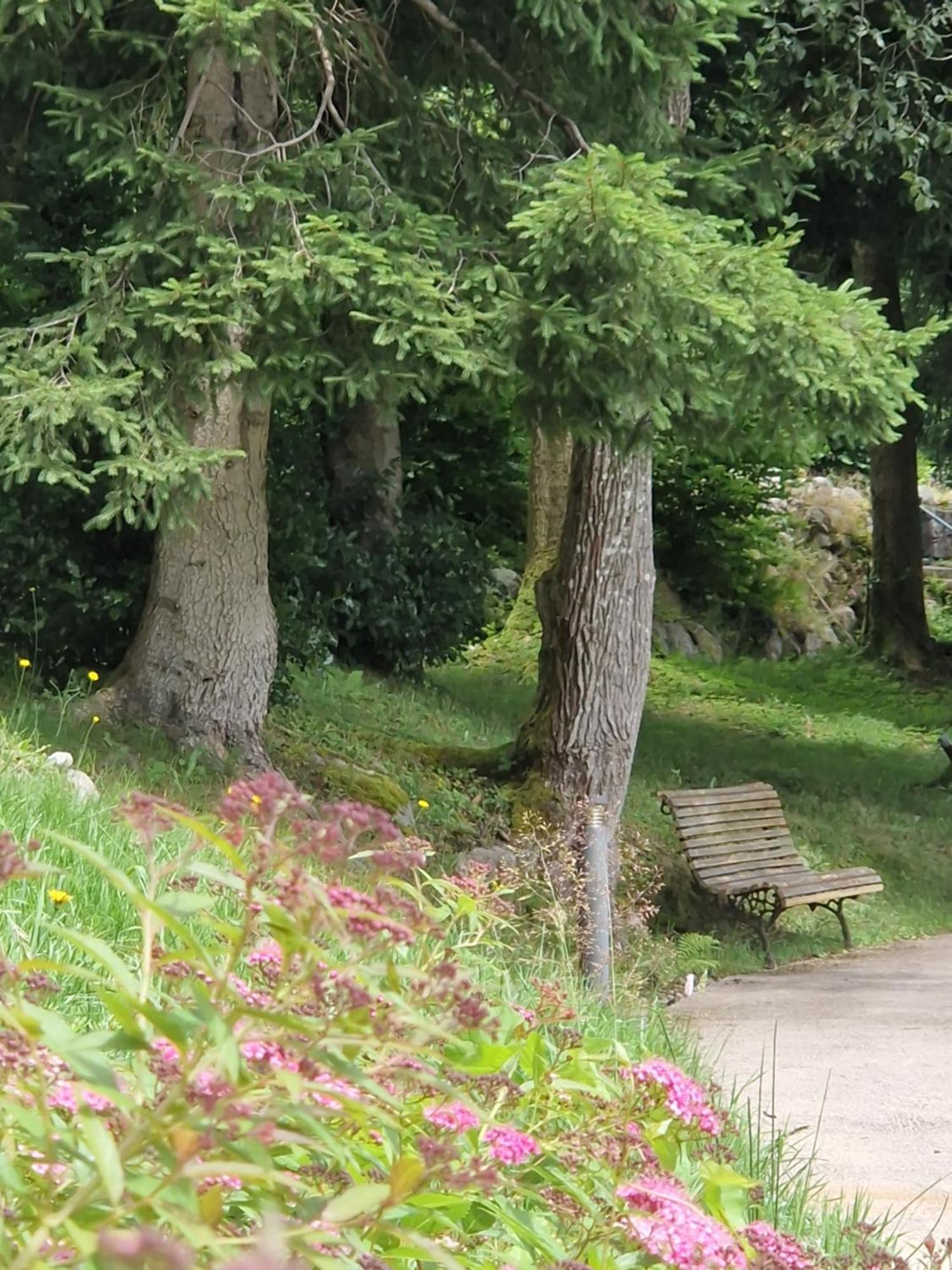 Le Manoir Au Lac Gérardmer Zewnętrze zdjęcie